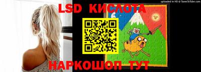 крисы Можга