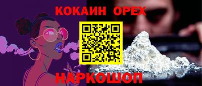 крисы Можга