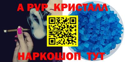 крисы Можга
