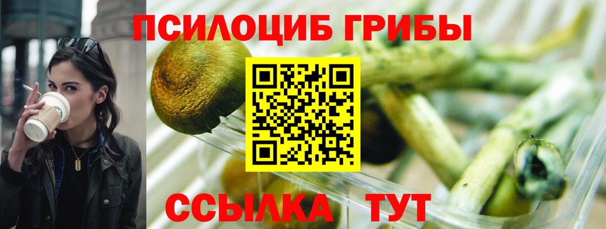 Кулебаки  Псилоцибиновые грибы мицелий  Галлюциногенные грибы мухоморы  Вход с VPN 